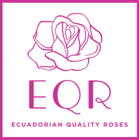 Texto alternativo de la imagen